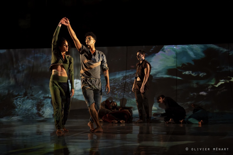 Cie Art for Gaïa - Paysage