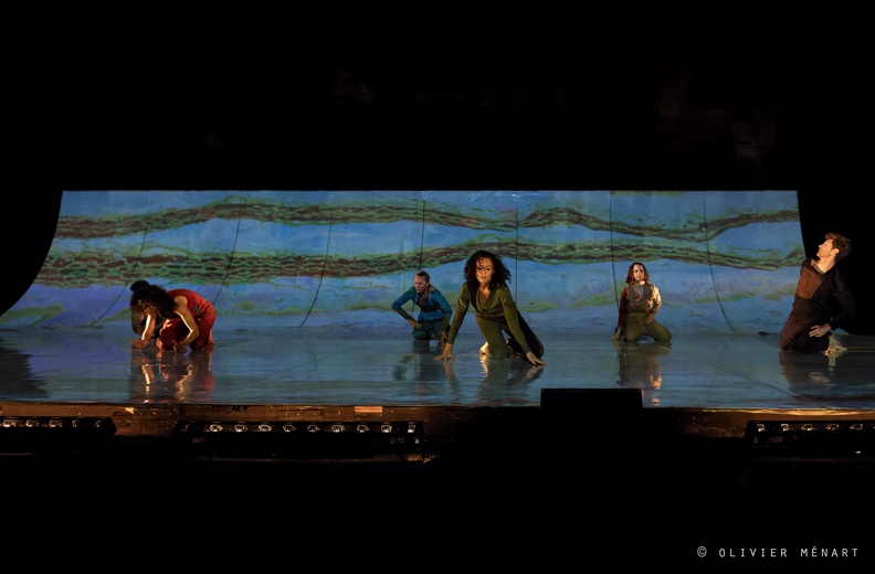 Cie Art for Gaïa - Paysage