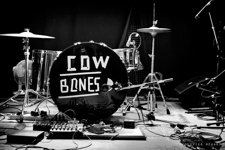Cowbones-01.jpg