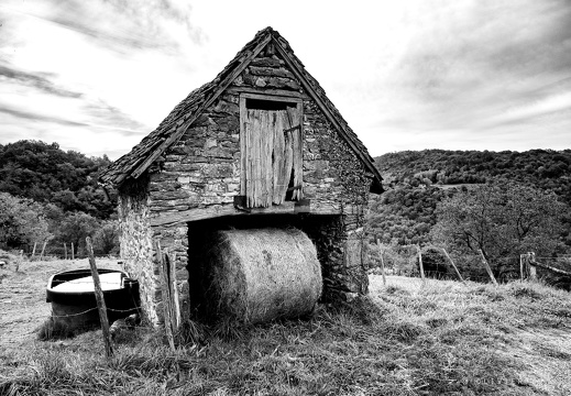 Au bord du chemin 