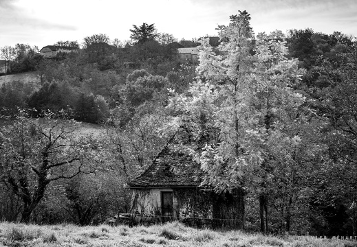 Au bord du chemin