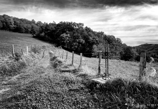 Au bord du chemin