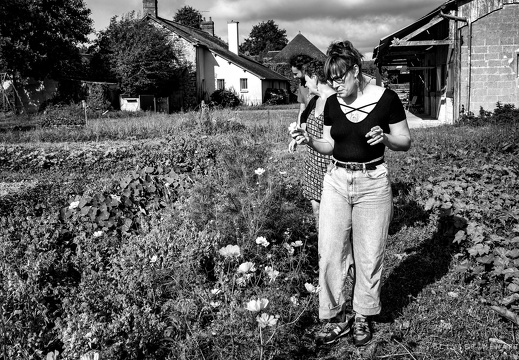 La ferme Crapaudel