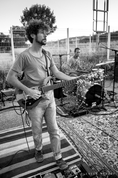 The Wayners