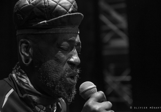 Transglobal Underground