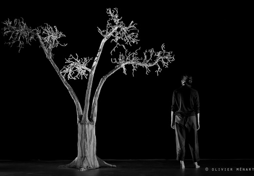 Compagnie Wang - Rodriguez