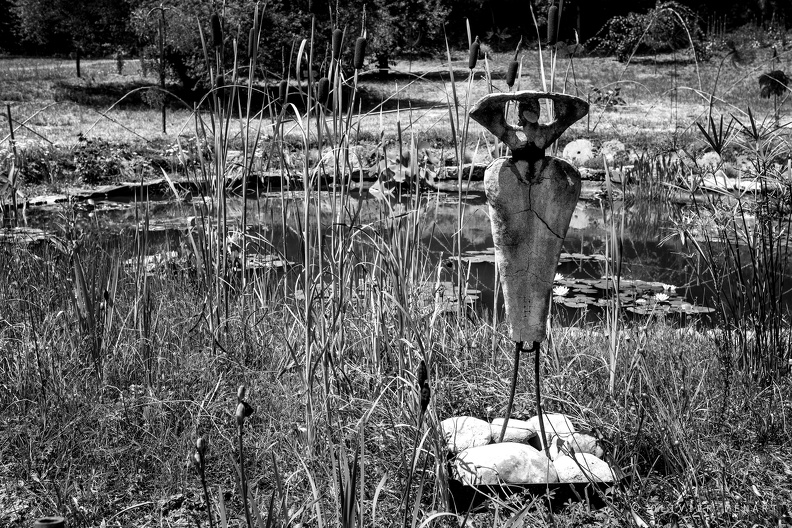 Le jardin extraordinaire