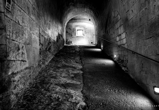  Abbaye de Montmajour