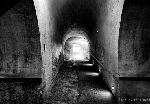  Abbaye de Montmajour