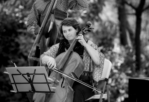 Conservatoire de Pertuis