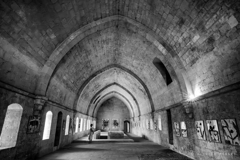 Abbaye de Silvacane. - 012 copie.jpg