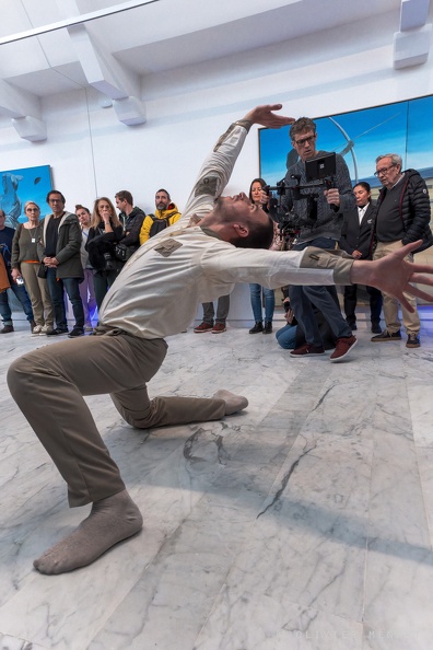 Perceptions - Art for Gaïa - 012.jpg