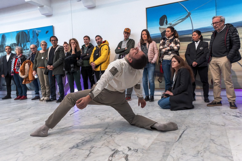 Perceptions - Art for Gaïa - 015.jpg