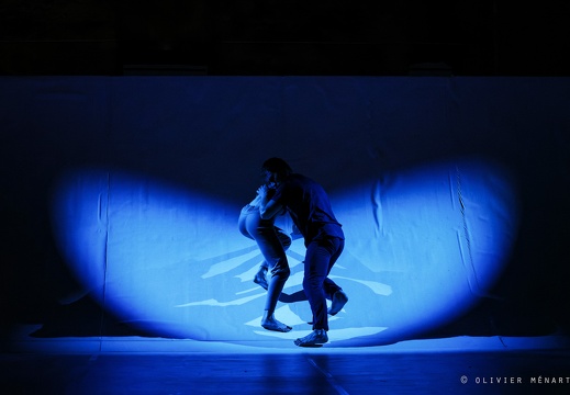 Paysage 2.0 – Connexions Innées