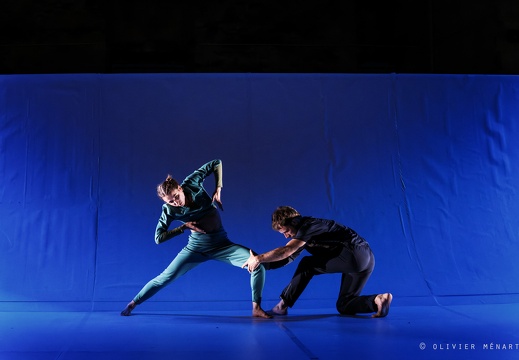 Paysage 2.0 – Connexions Innées