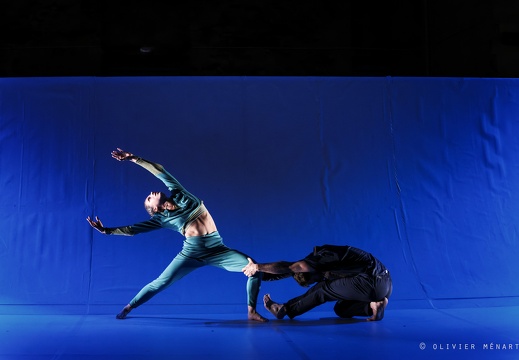 Paysage 2.0 – Connexions Innées