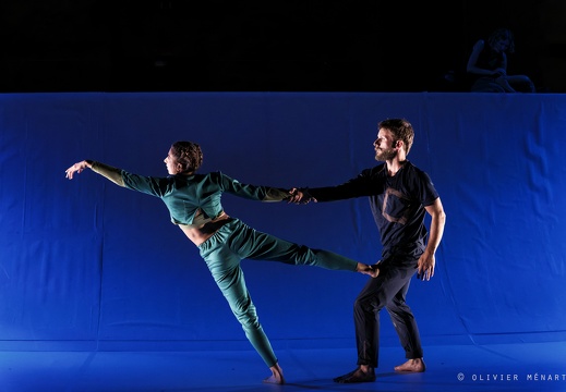 Paysage 2.0 – Connexions Innées