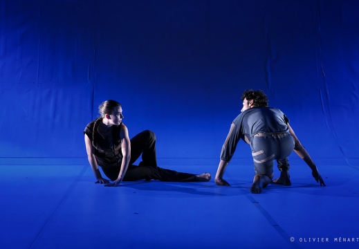 Paysage 2.0 – Connexions Innées