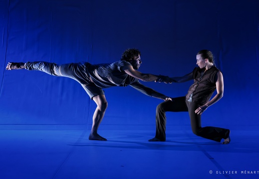 Paysage 2.0 – Connexions Innées