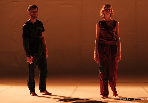 Paysage 2.0 – Connexions Innées