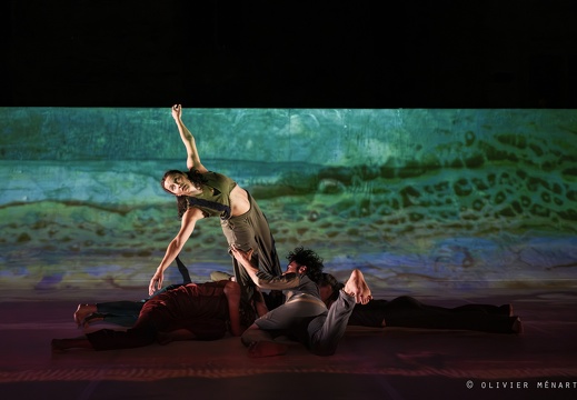 Paysage 2.0 – Connexions Innées