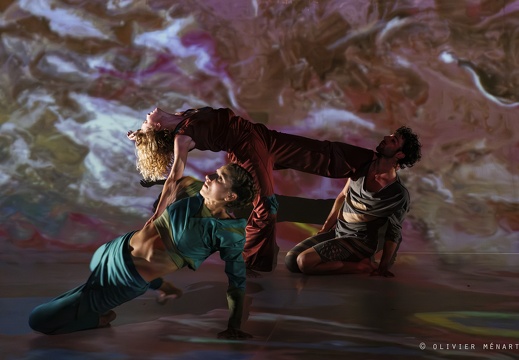 Paysage 2.0 – Connexions Innées